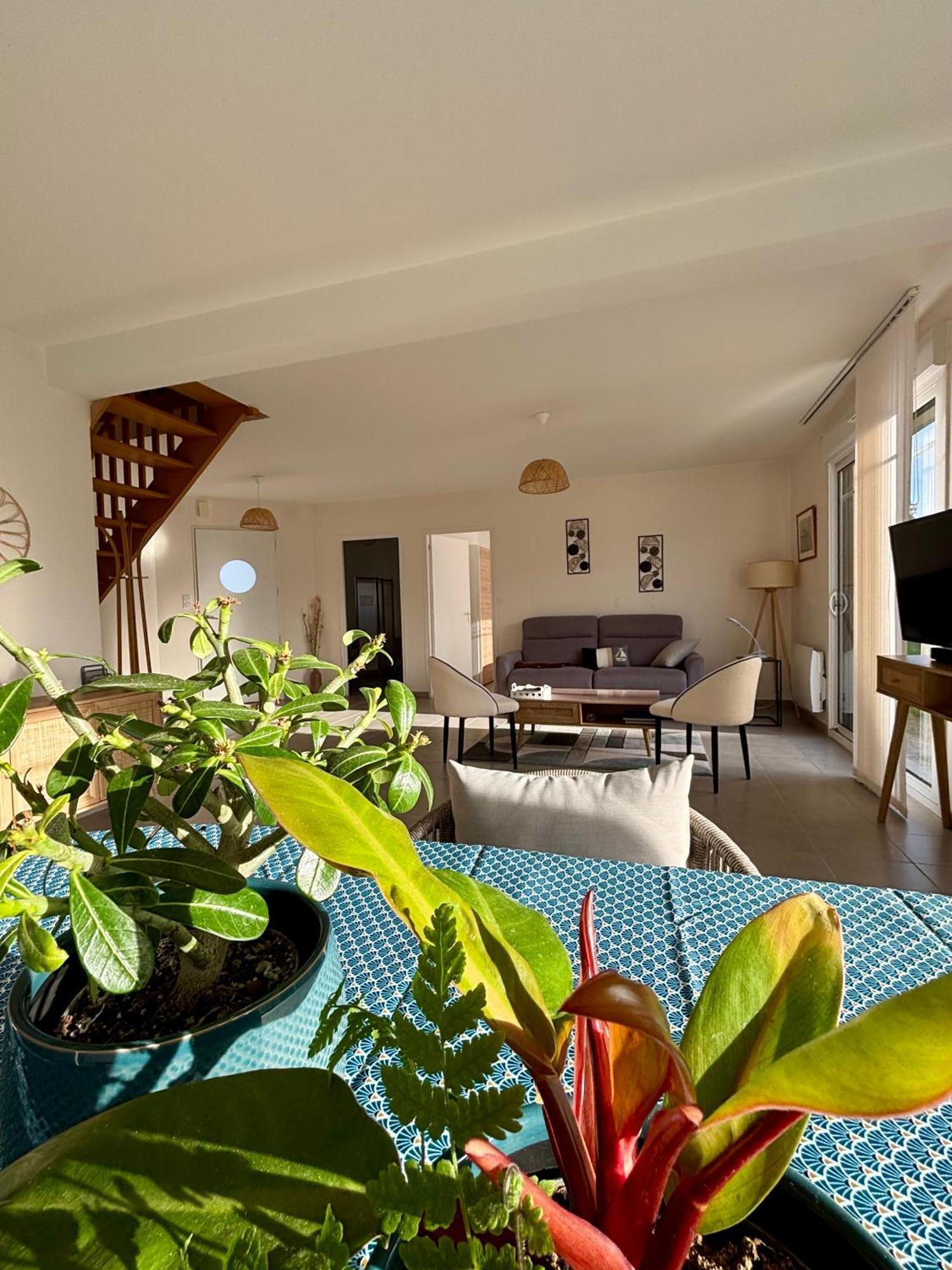 Maison Colette - Proche Plage Saint-Malo Kültér fotó